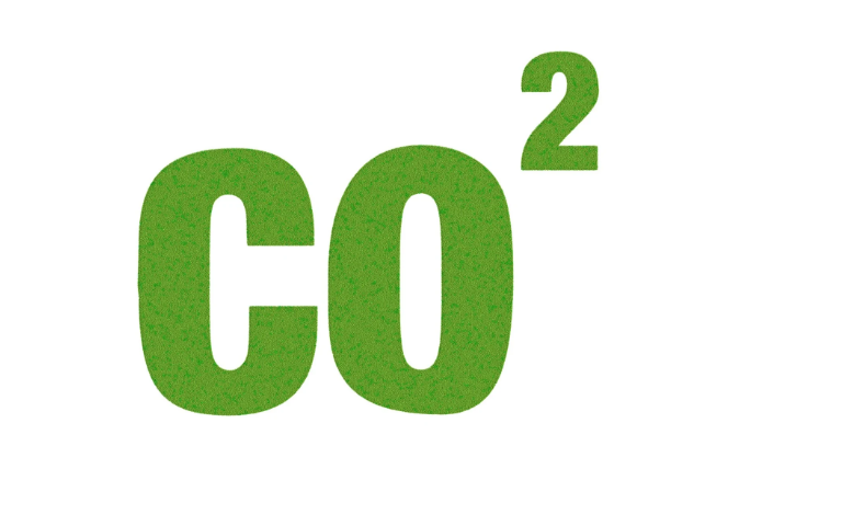 Bullhead Environmental Ltd